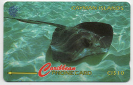 Cayman Islands - Stingray - 94CCIE (Small Control Number) - Kaimaninseln (Cayman I.)