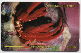 Cayman Islands - Hermit Crab - 4CCIB - Cayman Islands