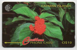 Cayman Islands - Broadleaf Flower - 94CCIB (small, Curved Font) - Kaimaninseln (Cayman I.)