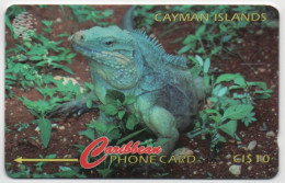 Cayman Islands - Iguana - 13CCIB - Islas Caimán