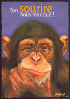 TON SOURIRE NOUS MANQUE - Monkeys
