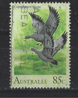 Australie Australia Used ; Gans Cape Barren Goose Oie Ganso Vogel Bird Ave Oiseau - Geese
