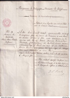 DDAA 664 - Papier Fiscal 1873 - Extrait De Naissance De Nisen Anne 1845 , Commune De FRANCORCHAMPS , Province De LIEGE - Documenten