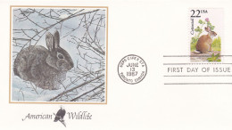 États-Unis FDC 1987 1722 Lapin De Floride - 1981-1990