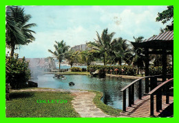 SAN JUAN PUERTO RICO - GARDENS, CARIBE HILTON HOTEL - TRAVEL IN 1968 - PUB. BY FELIX ROLON - - Puerto Rico