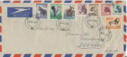 South Africa -Suid Afrika Air Mail Cover Sent To Denmark Wests 28-11-1956 With A Lot Of Topical Stamps - Luftpost