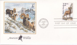 États-Unis FDC 1987 1720 Mouflon Canadien - 1981-1990