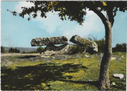 VAOUR   LE DOLMEN   ANNEE 1973 - Vaour