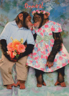 AFFE Tier Vintage Ansichtskarte Postkarte CPSM #PAN990 - Monkeys