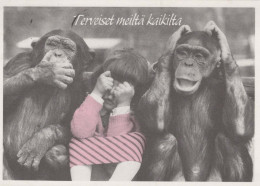 AFFE Tier Vintage Ansichtskarte Postkarte CPSM #PAN986 - Monkeys
