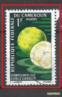 CAMERUN 1967 Fruits    Pomelo (Citrus Grandis)     Ø - Cameroun (1960-...)