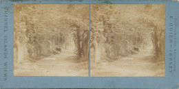 Stereo Card Before 1900  E. Ogier Jersey  Vinchelez Lane   Channel Islands Wiews - St. Helier