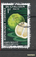 CAMERUN 1967 Fruits    Pomelo (Citrus Grandis)     Ø - Cameroun (1960-...)