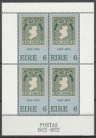 Ireland        .   Y&T     .   F  1     .    **      .   MNH - Blocks & Kleinbögen