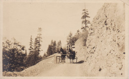 Western Colorado Horse And Buggy Real Photo - Sonstige & Ohne Zuordnung