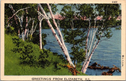 Illinois Greetings From Elizabeth Curteich - Autres & Non Classés