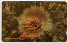 Dominica - Anemone - 9CDMA (Regular O) - Dominique