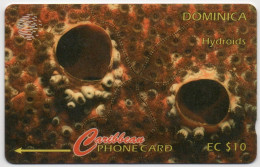 Dominica - Hydroids: 9CDMC (with Regular O) - Dominica