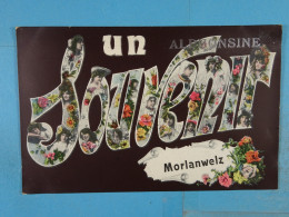 Un Souvenir De Morlanwelz - Morlanwelz