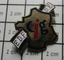 611c Pin's Pins / Beau Et Rare /  EDF GDF / DE CIG !!! HEXAGONE CARTE DE FRANCE - EDF GDF