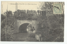 89/CPA A - Brienon - La Passerelle De La Palaine Saint Loup (chien) - Brienon Sur Armancon