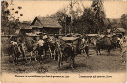 PC COMMISSATIAT BULL CARAVAN ETHNIC TYPES LAOS INDOCHINA (a37837) - Laos