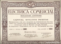 ELÉCTRICA COMERCIAL SOCIEDAD ANÓNIMA - Electricidad & Gas