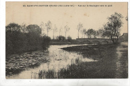 Saint-Philbert-de-Grand-Lieu (44) : Le Pont Sur La Boulogne  En 1910 PF. - Saint-Philbert-de-Grand-Lieu