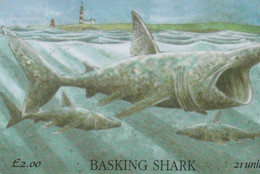 Isle Of Man - Basking Shark - Isola Di Man