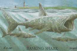 Isle Of Man - Basking Shark - Man (Isle Of)