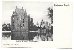 CPA Steen-Ockerzeel, Château De Ham à Steen-Ockerzeel - Steenokkerzeel