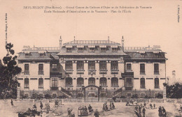 52 / FAY BILLOT /  Grand Centre De Culture D'osier Et De Fabrique De Vannerie * école Nationale * Plan De L'école - Fayl-Billot