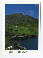 Used Postcard. Beara Peninsula, West Cork, Ireland / Eire. Liam Blake. Real Ireland Design Ltd. Nature. - Cork