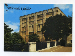 CP Neuve New Postcard. Norwich Castle. Salmon Cameracolour Postcard, Printed In England. Château Castel Castillo Schloss - Norwich