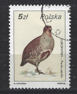 Polen Poland Pologne Used : Patrijs Partridge Perdrix Perdiz Veldhoen Vogel Bird Ave Oiseau - Perdrix, Cailles