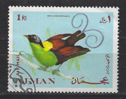 Ajman Used ; Paradijsvogel Bird Of Paradise Oiseau De Paradis Ave Del Paraiso Vogel Bird Ave Oiseau - Perroquets & Tropicaux