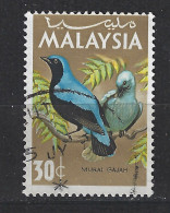 Maleisie Malaysia Used ; Gaai Jay Geai Arrendajo Indische Blauwrug Vogel Bird Ave Oiseau - Kuckucke & Turakos