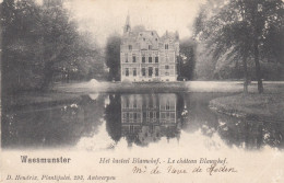 Waasmunster - Het Kasteel Blauwhof - Waasmunster