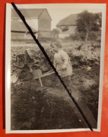 Photo -  Enfant Avec Brouette Dans Un Jardin - Autres & Non Classés