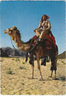 EGYPT,RIDING CAMELS 1981 - Port Said