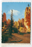 AK 135552 USA - Utah - Bryce Canyon National Park - Trail Below Sunset Point - Bryce Canyon