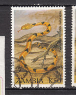 Zambie, Zambia, Serpent, Snake - Snakes