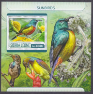 2017 Sierra Leone 8619/B1252 Birds 11,00 € - Piciformes (pájaros Carpinteros)