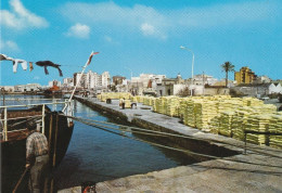 MARSALA - TRAPANI - IL PORTO - SULLA BANCHINA AMMASSO DI SACCHI DI ZOLFO DA CARICARE - MINIERA / MINE - 1978 - Marsala