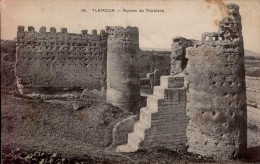 TLEMCEN   ( ALGERIE )   RUINES DE TOUBIANA - Non Classés