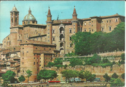 Urbino (Marche) Scorcio Panoramico E Palazzo Ducale Con I Torricini, Panoramic View And Dukal Palace With The Turrets - Urbino