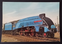 Postkarte, L.N.E.R. Class A4 Streamlined Pacific, Lot P88 - Trains