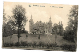 CPA  Jodoigne. Le Chateau Des Cailloux - Jodoigne