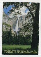 AK 135599 USA - California - Yosemite National Park - Yosemite Falls - Yosemite