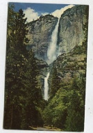 AK 135602 USA - California - Yosemite National Park - Yosemite Falls - Yosemite